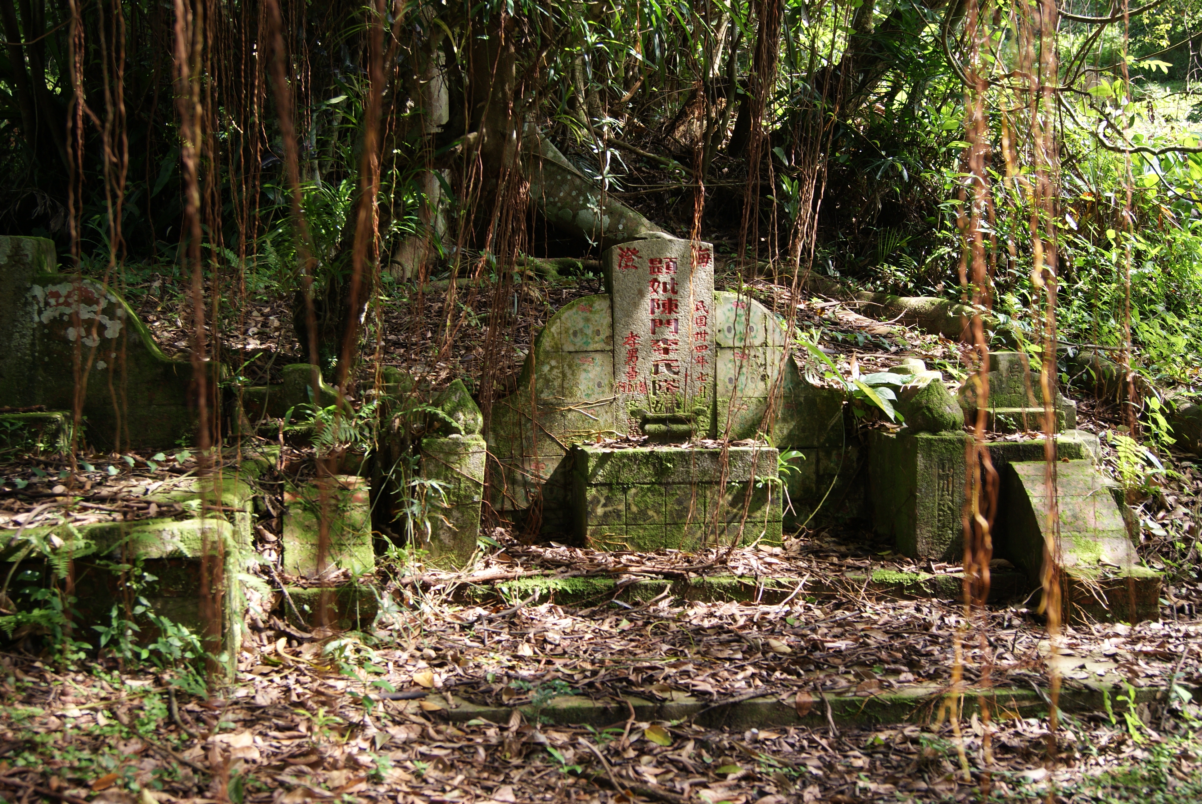 Bukit Brown Cemetery